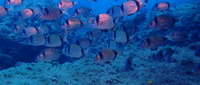 IMG-20260104-WA0006