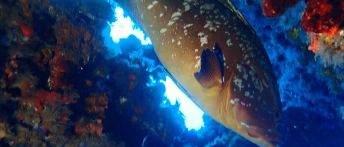 IMG-20260105-WA0009